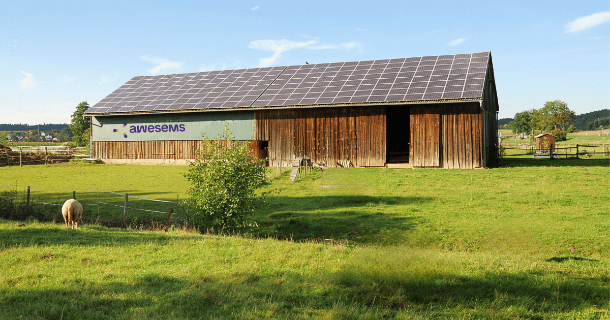 Houten schuur van een boer. Deze schuur ligt vol met zonnepanelen. Om de schuur heen zijn groene weides te zien. Met een schaapje in de wei.